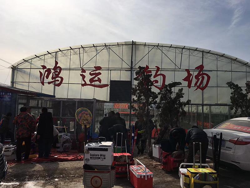 鱼情介绍图片