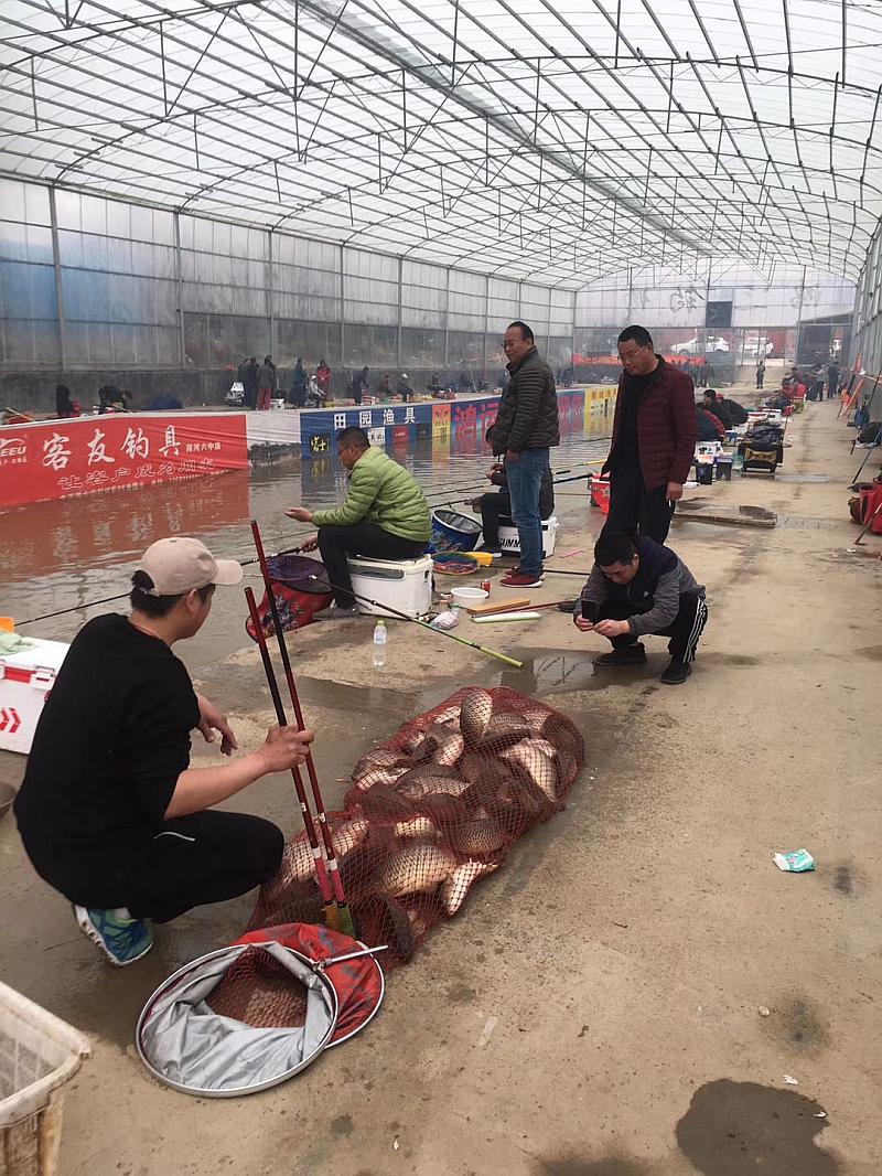 鱼情介绍图片