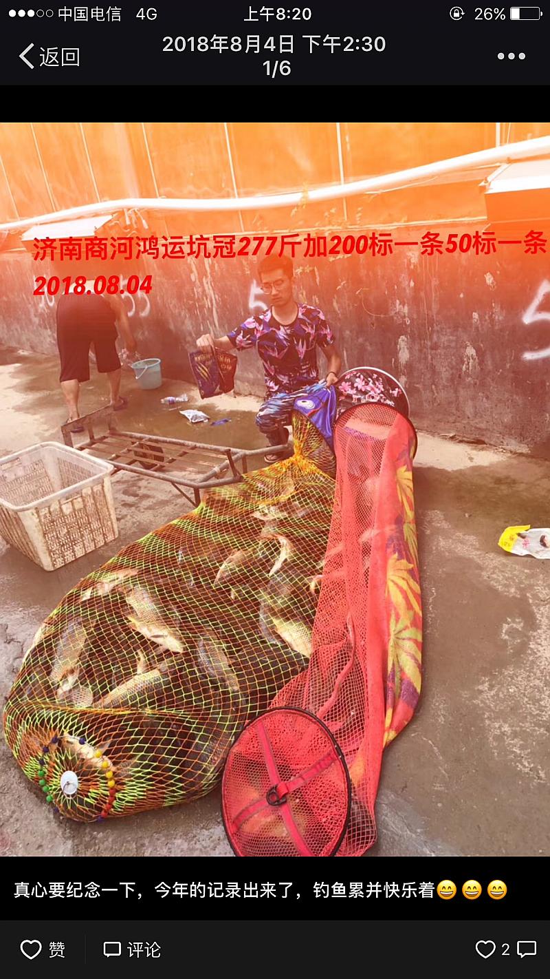 鱼情介绍图片