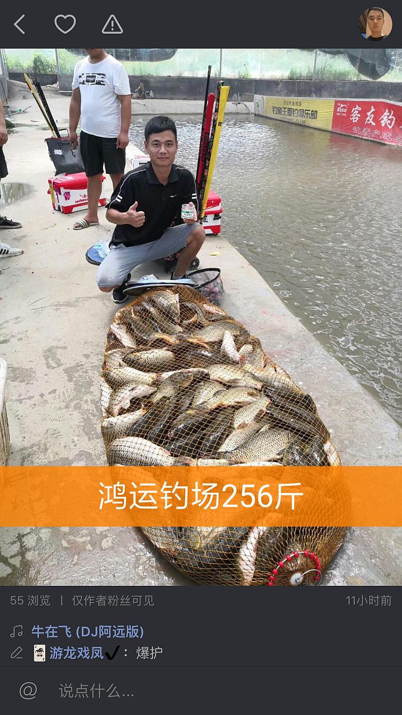 鱼情介绍图片