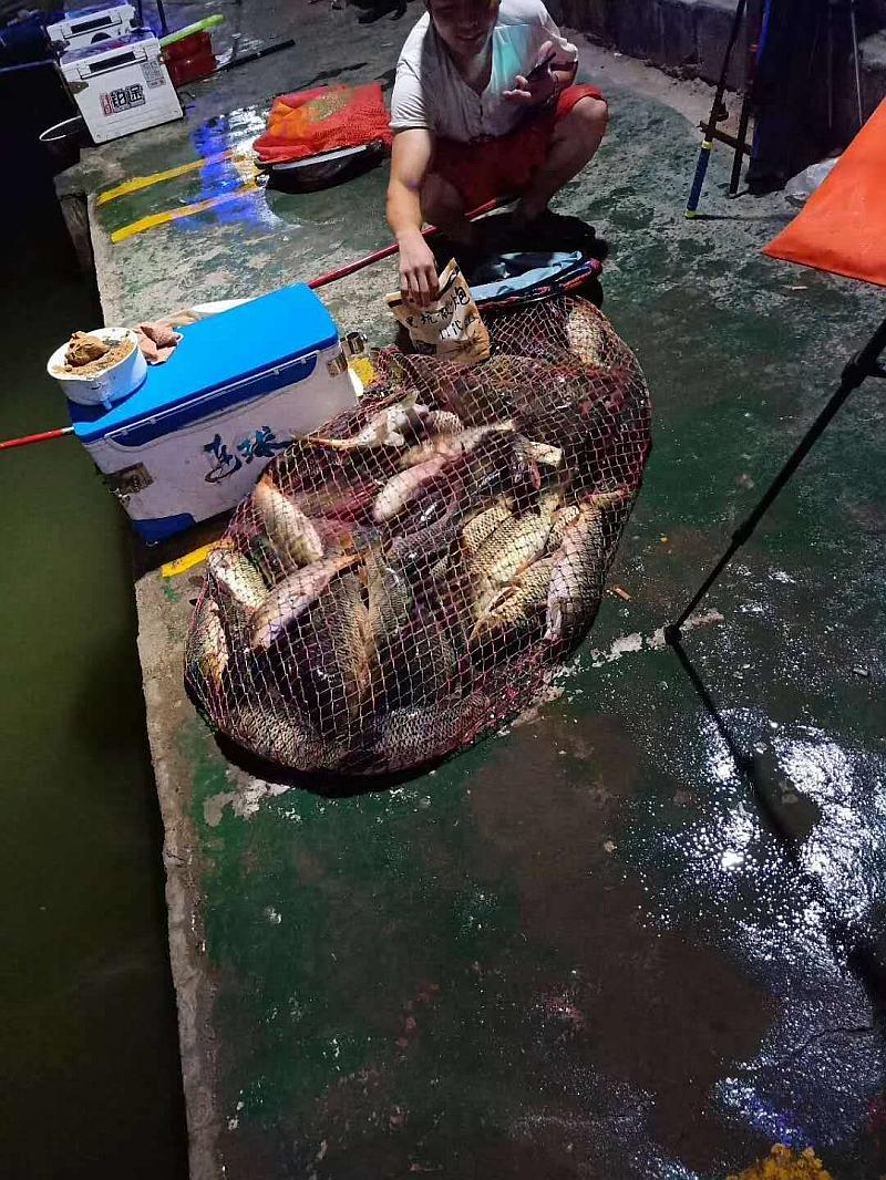鱼情介绍图片
