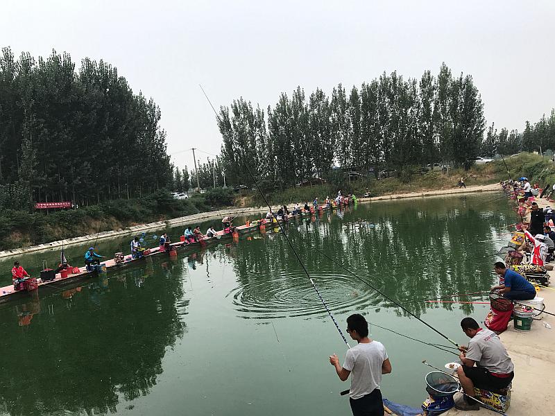 鱼情介绍图片