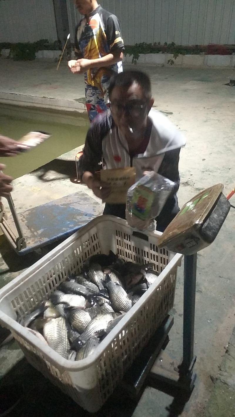 鱼情介绍图片