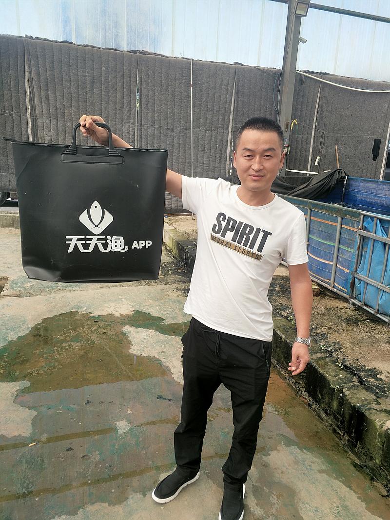 鱼情介绍图片