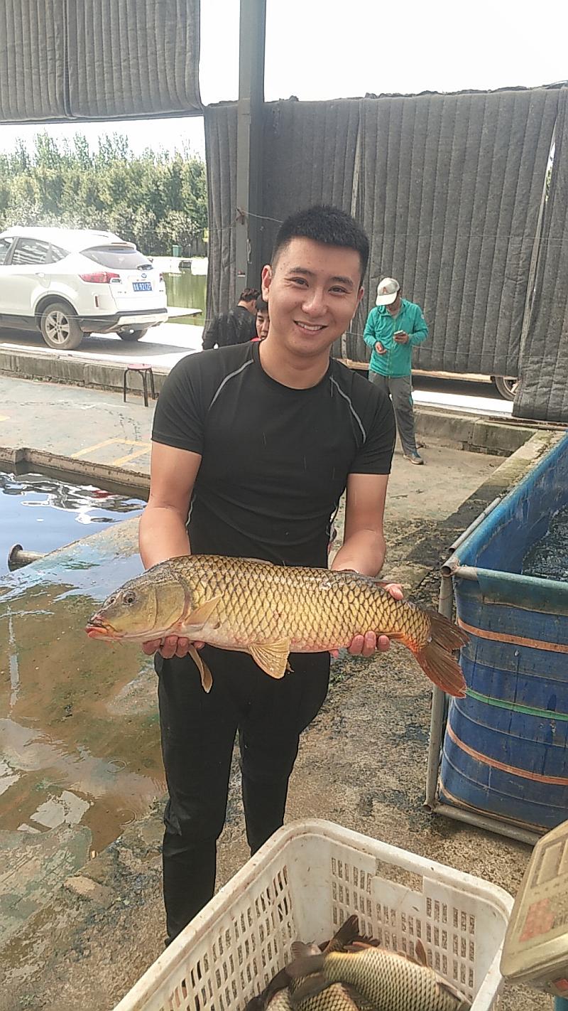 鱼情介绍图片