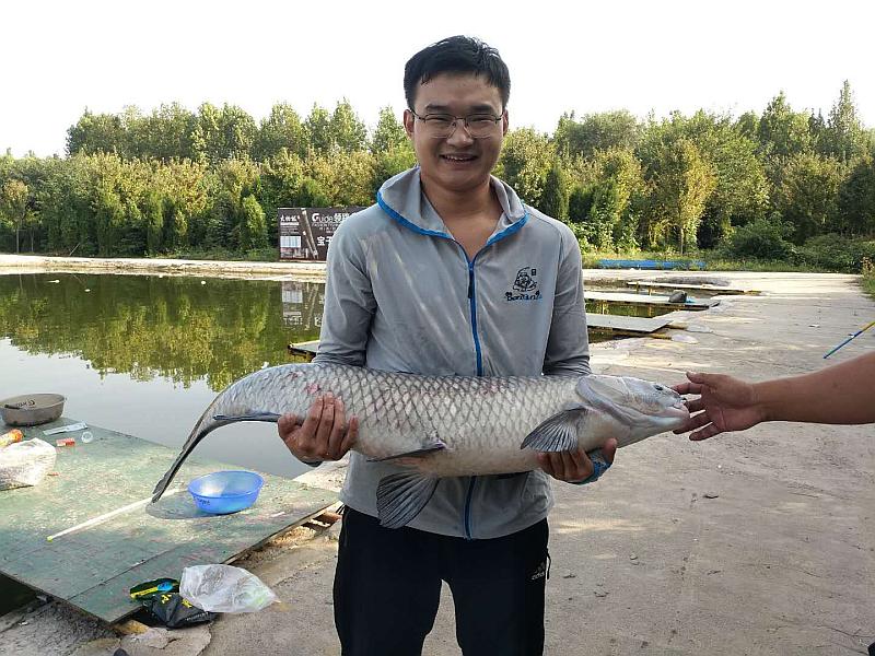 鱼情介绍图片