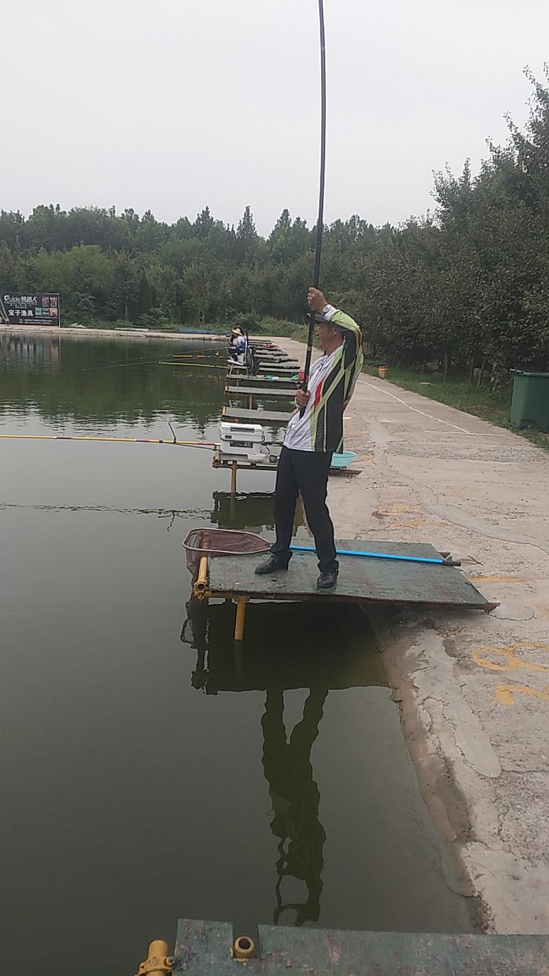 鱼情介绍图片