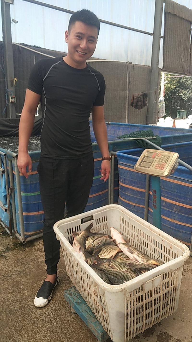 鱼情介绍图片