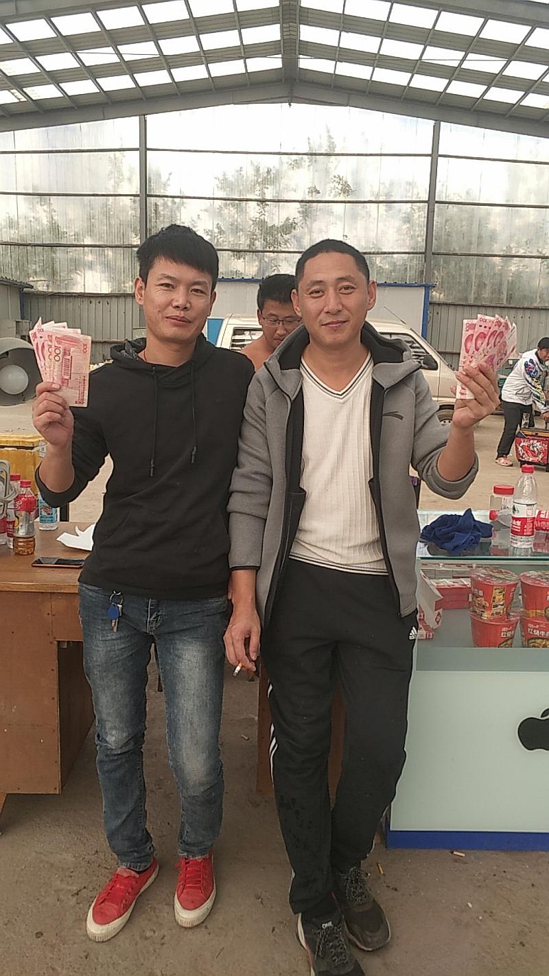 鱼情介绍图片