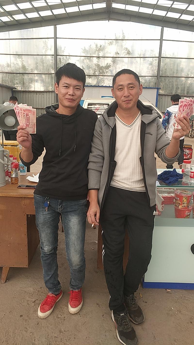 鱼情介绍图片