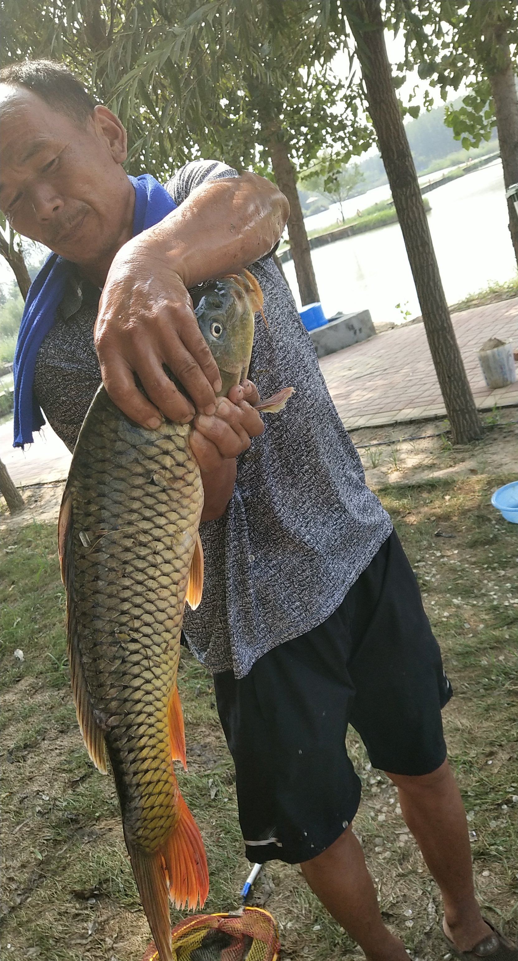 鱼情介绍图片