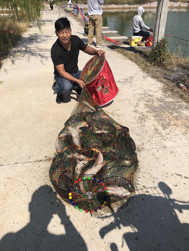 鱼情介绍图片