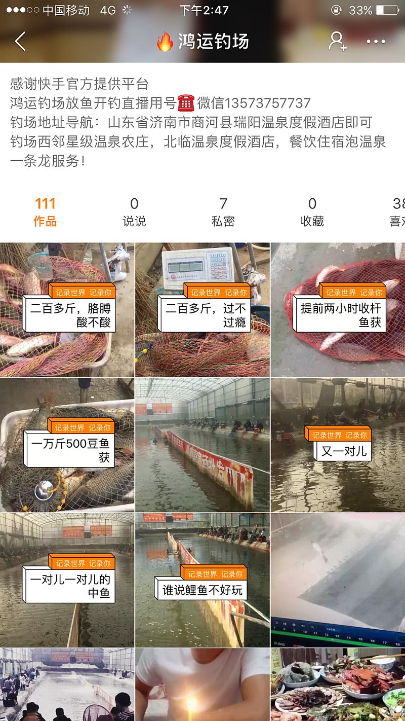 鱼情介绍图片