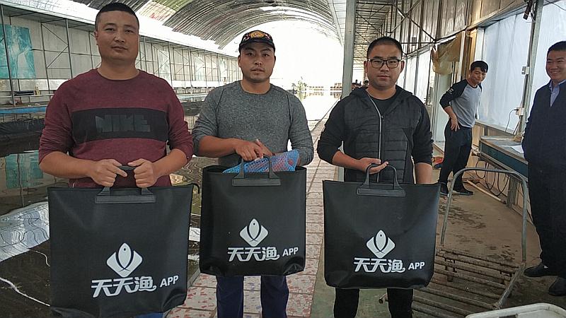 鱼情介绍图片