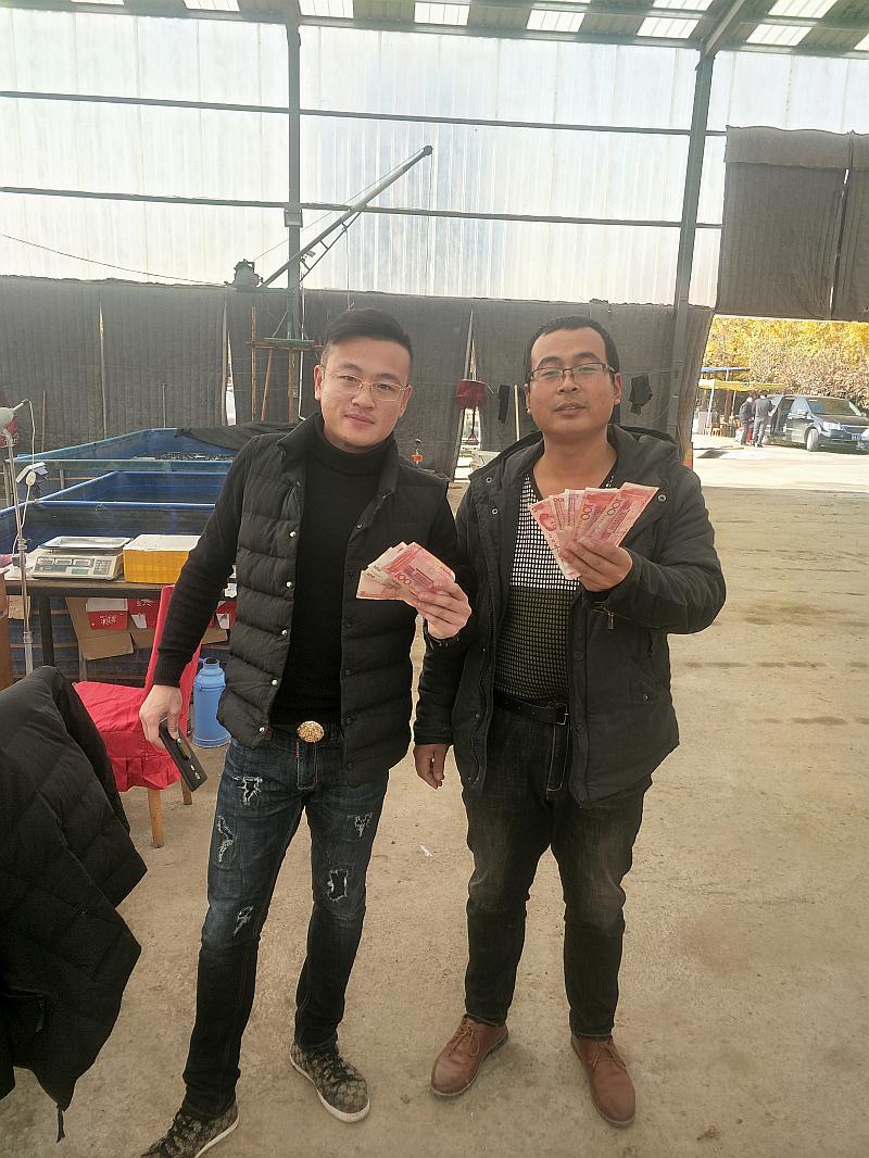鱼情介绍图片