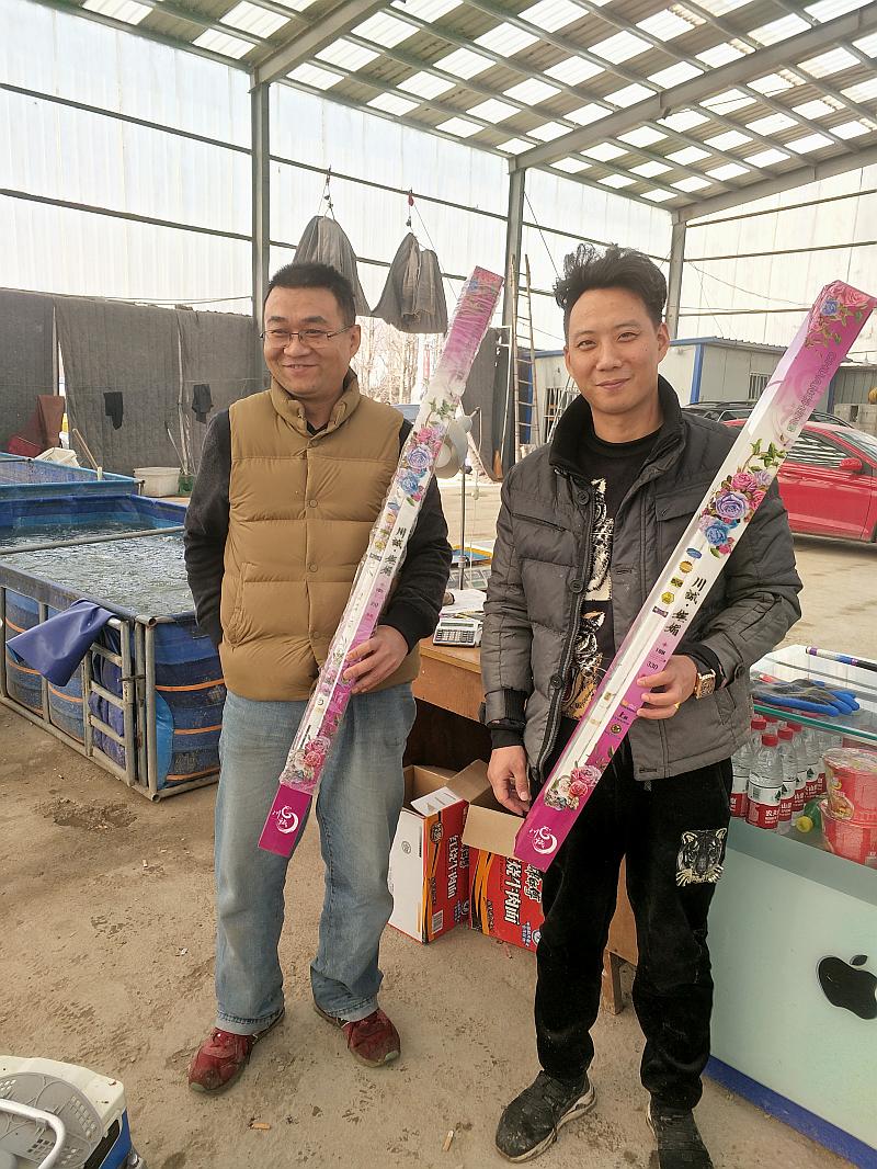鱼情介绍图片