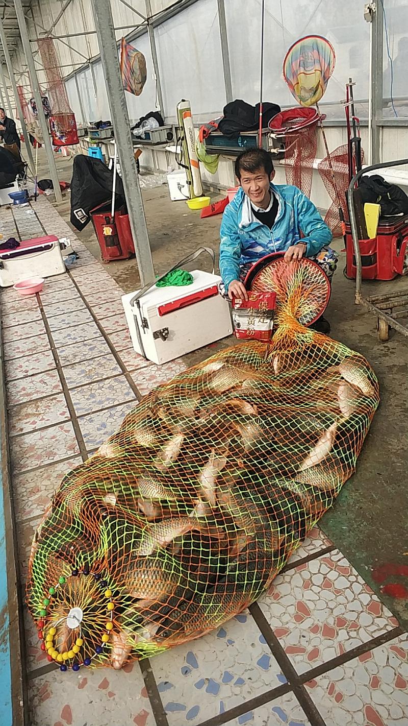 鱼情介绍图片