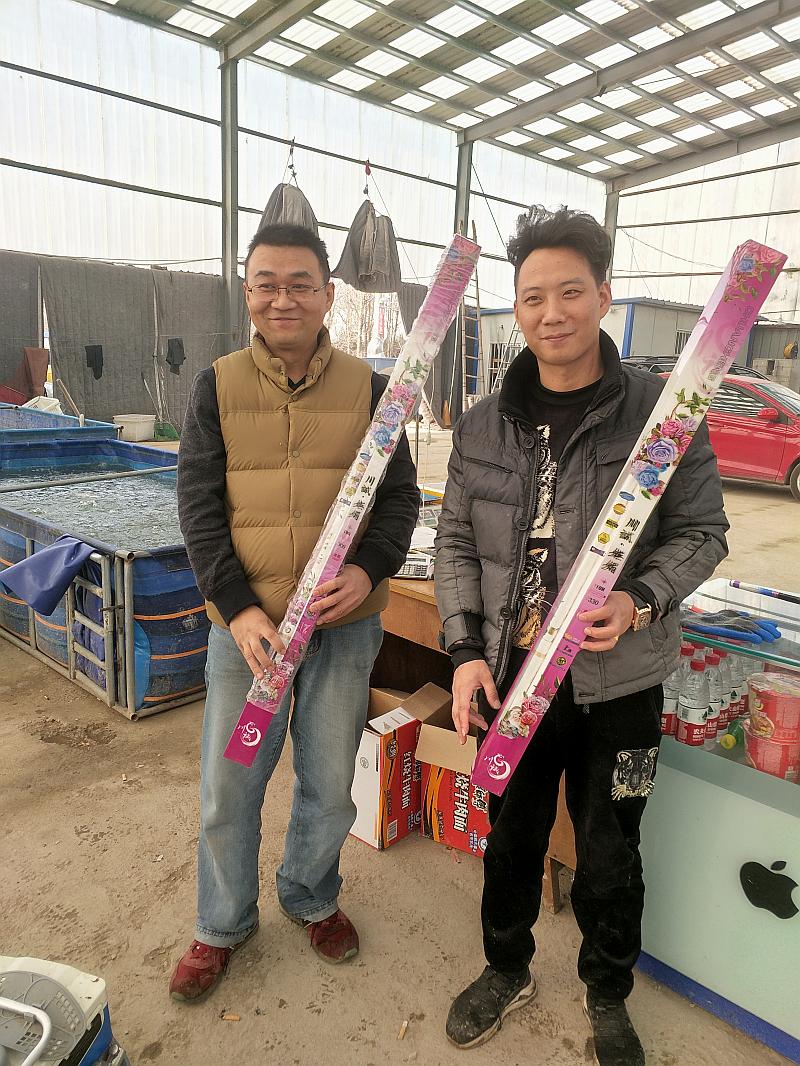 鱼情介绍图片