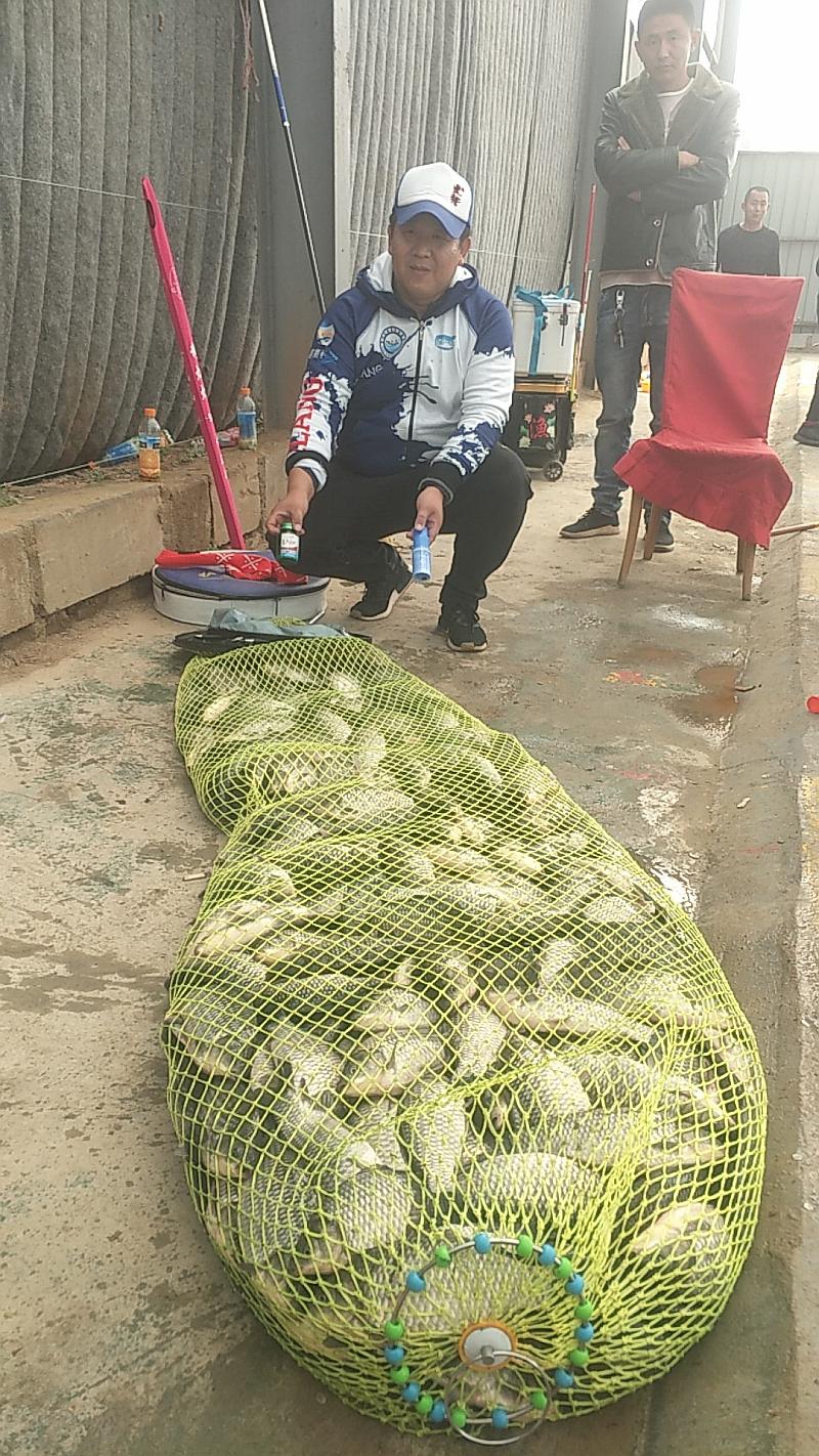 鱼情介绍图片
