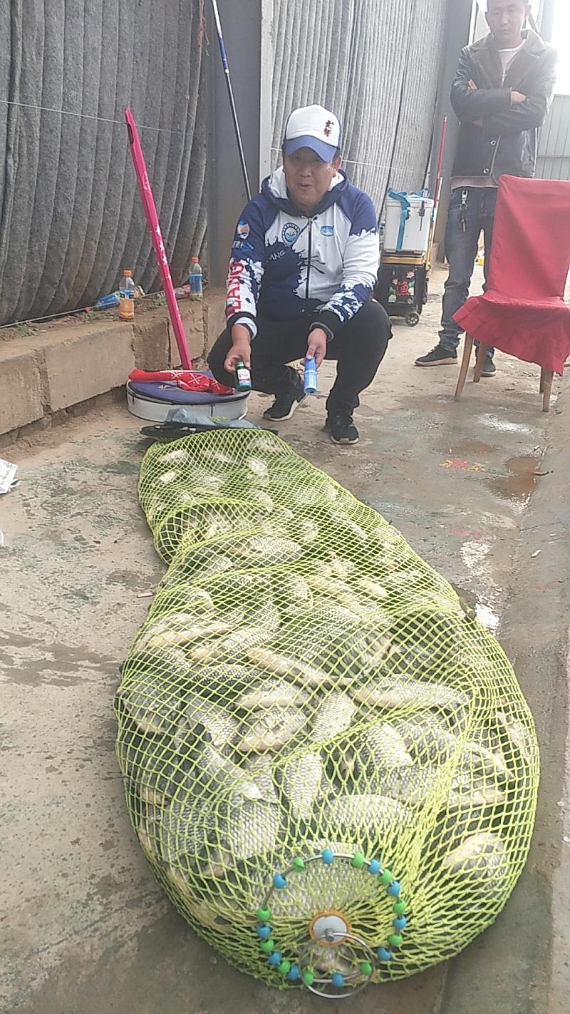 鱼情介绍图片