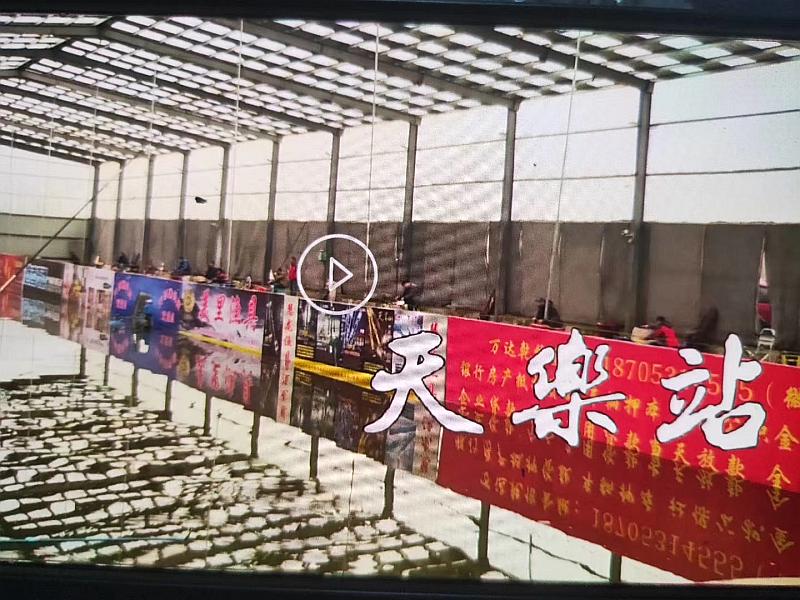 鱼情介绍图片