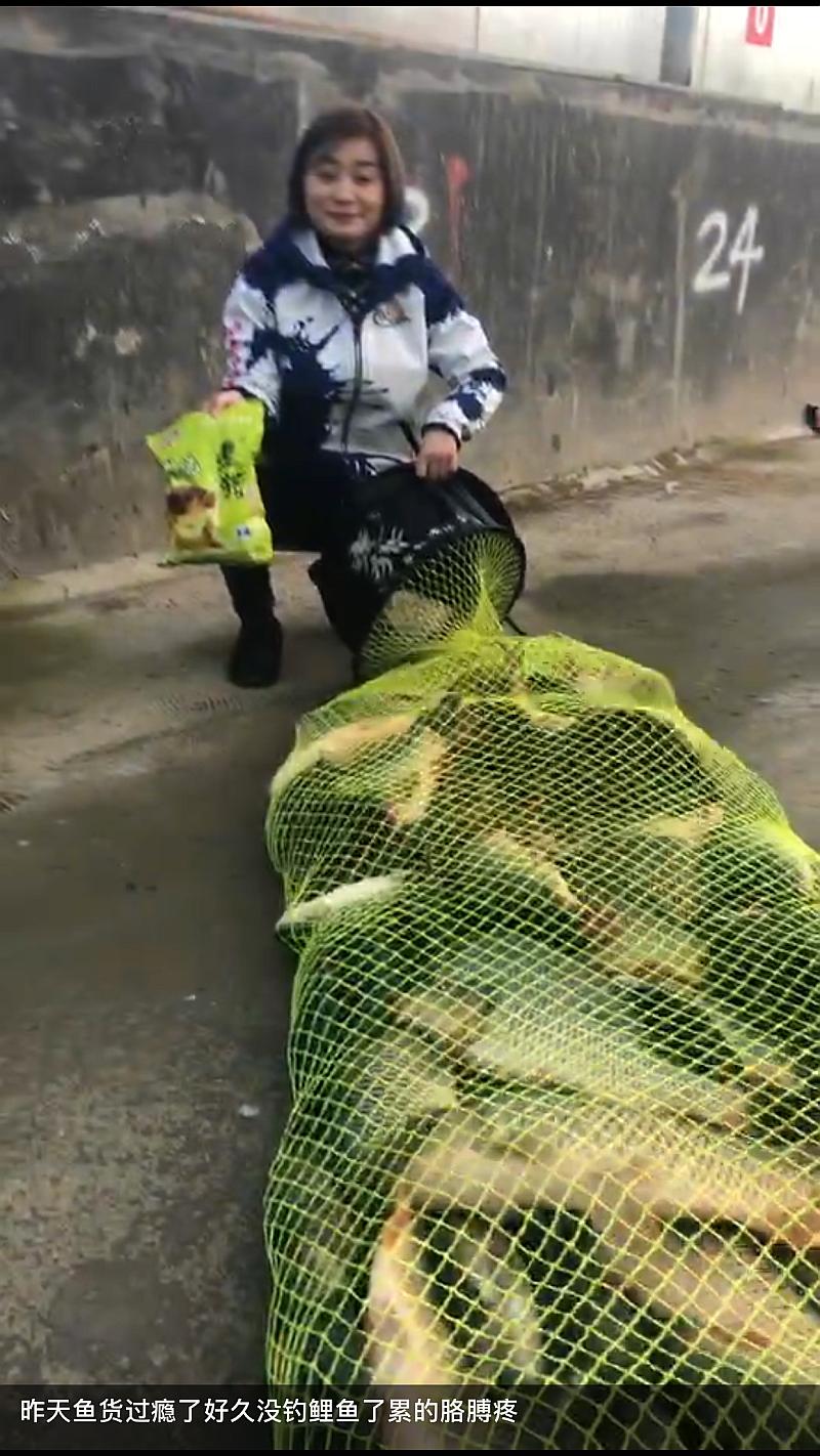 鱼情介绍图片