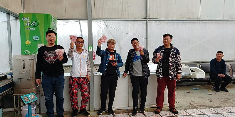 鱼情介绍图片
