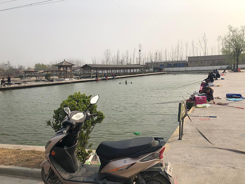 鱼情介绍图片