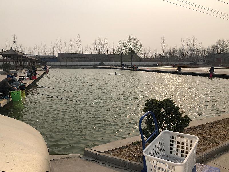 鱼情介绍图片