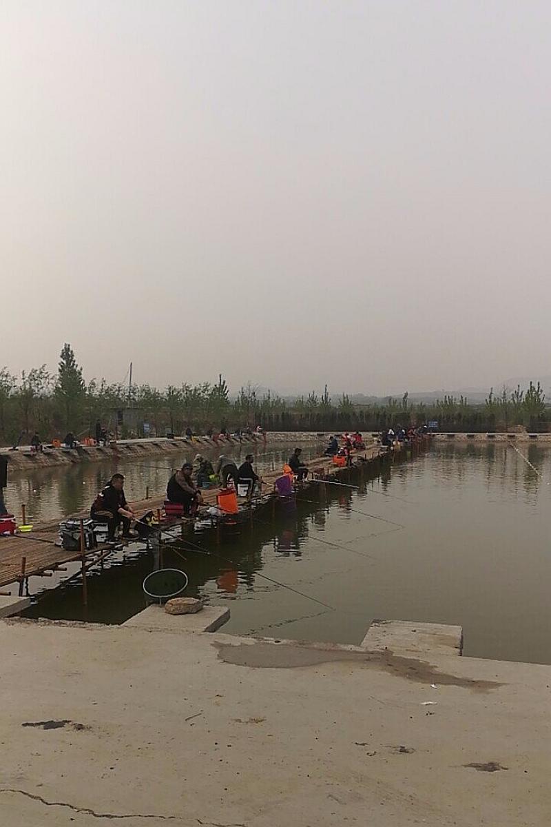 鱼情介绍图片