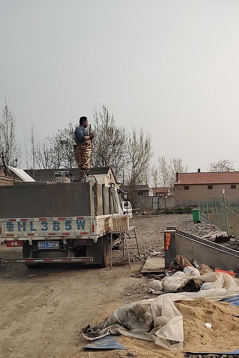鱼情介绍图片