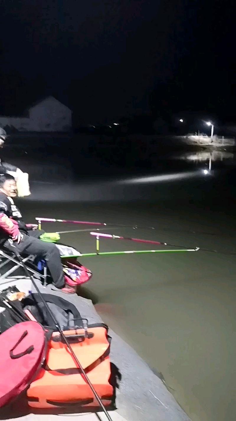 鱼情介绍图片