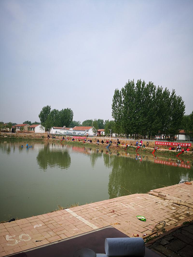 鱼情介绍图片