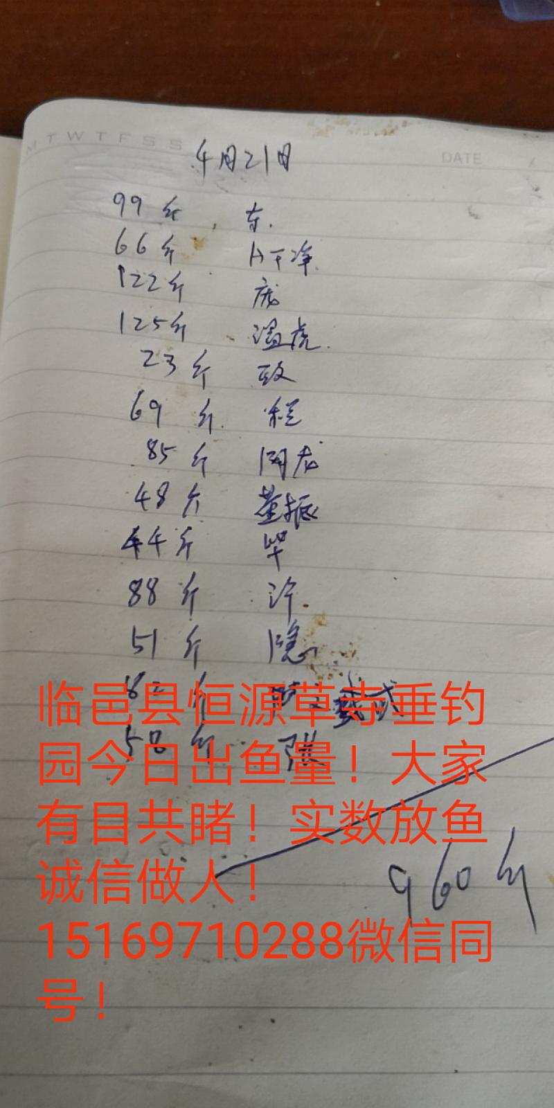 鱼情介绍图片