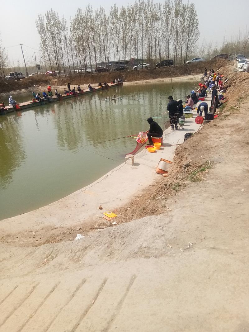 鱼情介绍图片