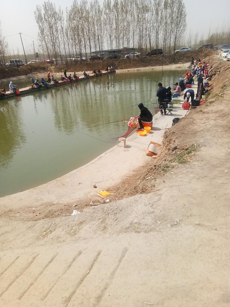 鱼情介绍图片