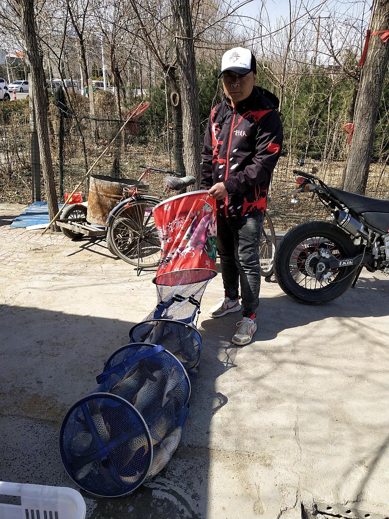 鱼情介绍图片