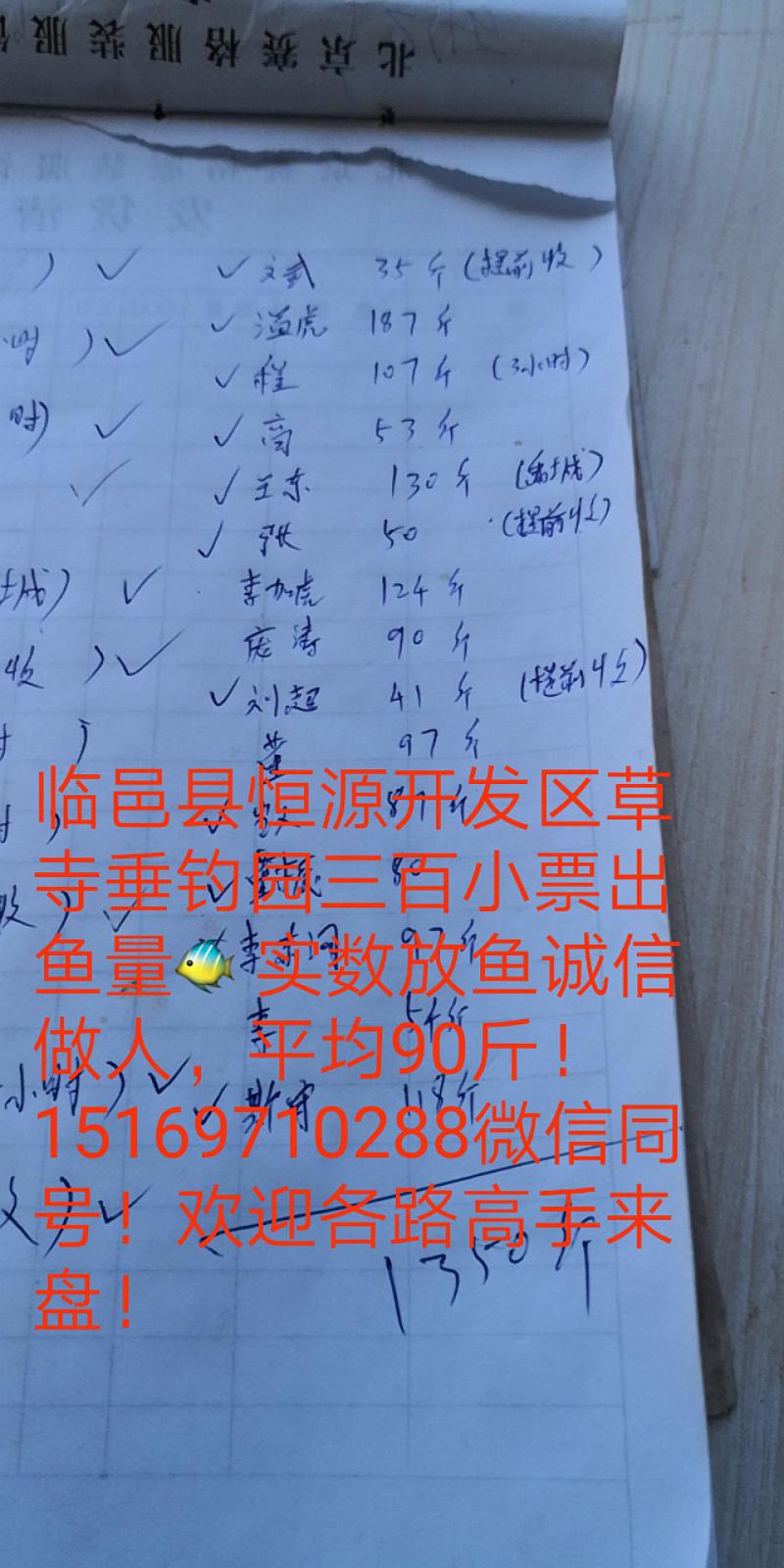 鱼情介绍图片