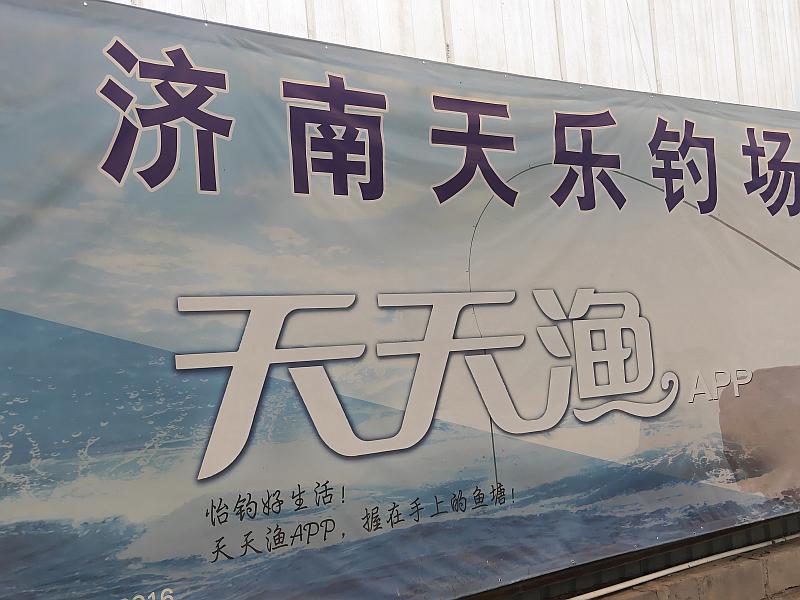 鱼情介绍图片