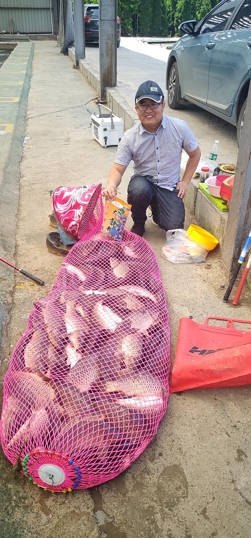 鱼情介绍图片