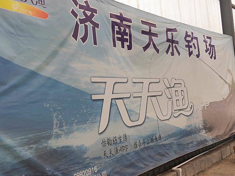 鱼情介绍图片