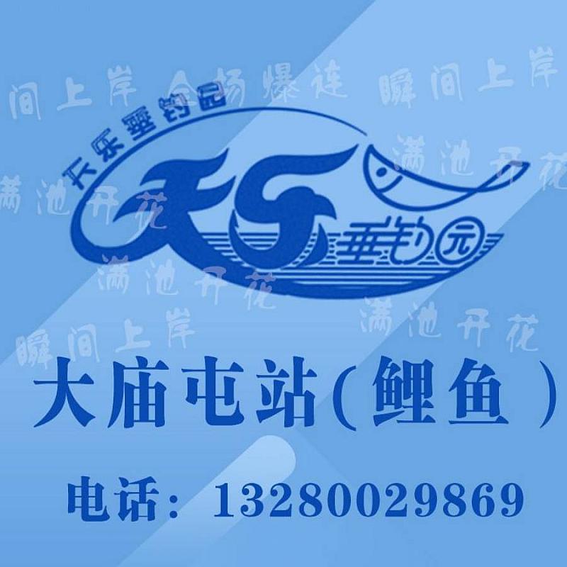 鱼情介绍图片