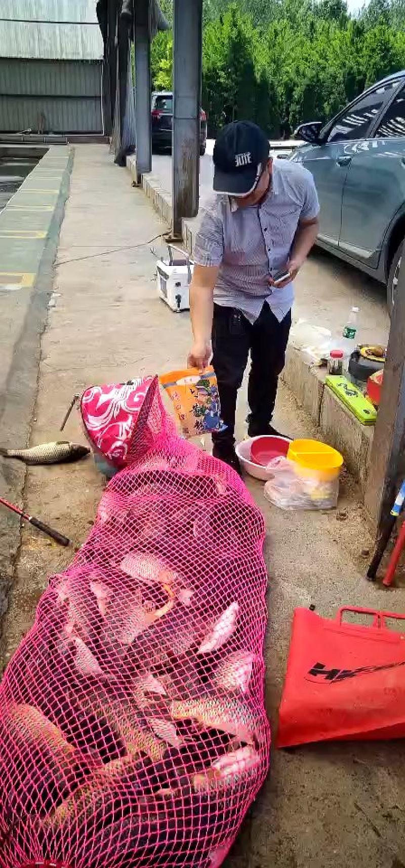 鱼情介绍图片