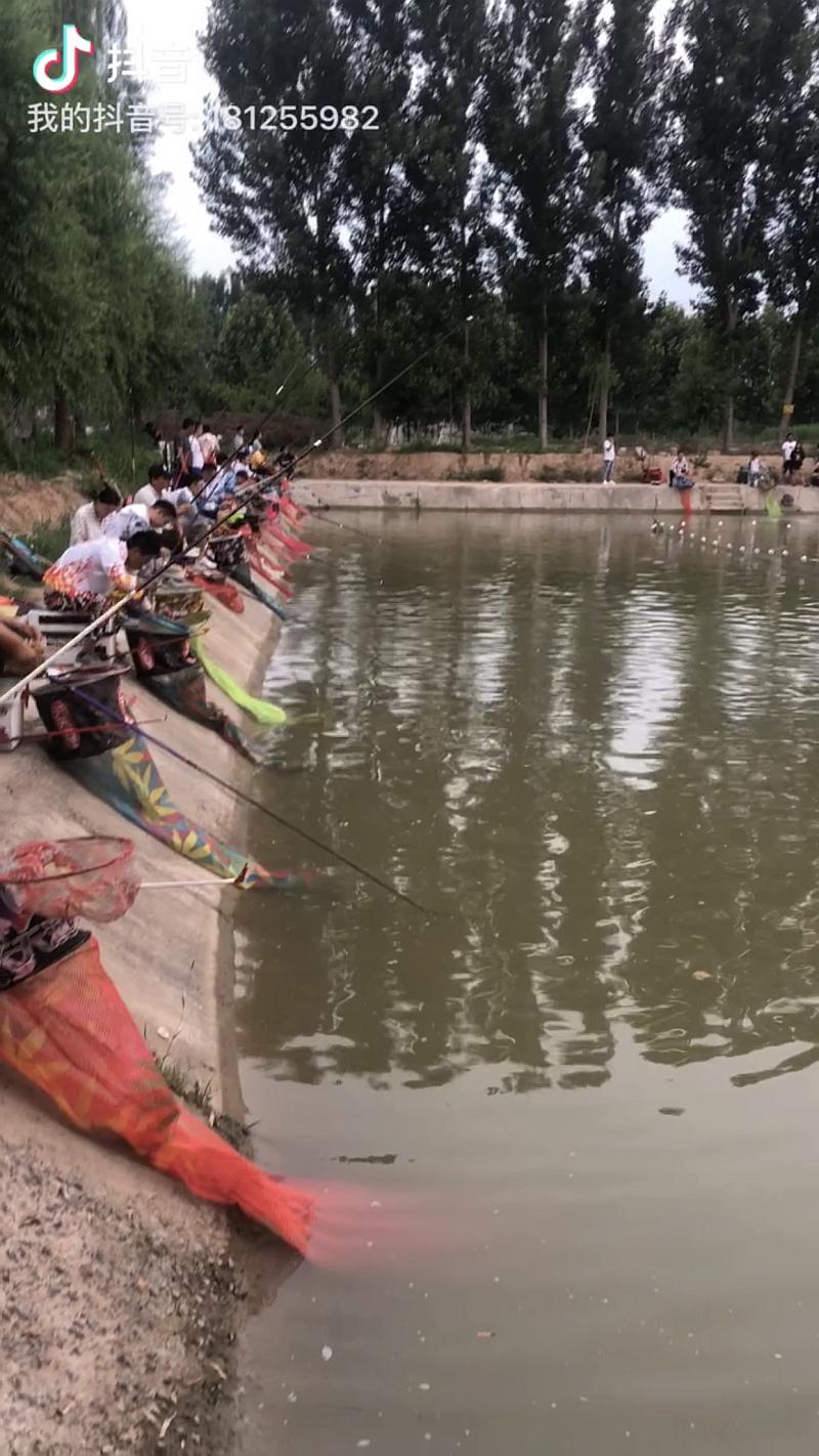 鱼情介绍图片
