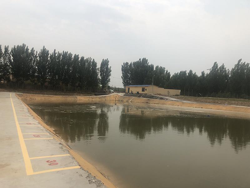 鱼情介绍图片