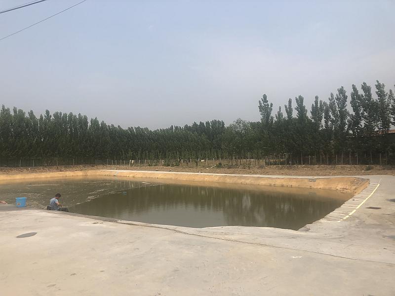鱼情介绍图片