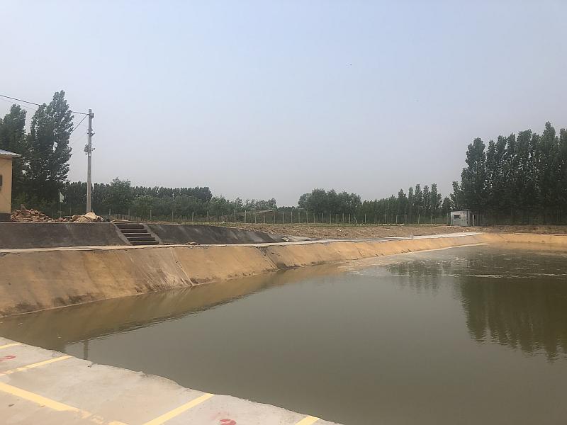 鱼情介绍图片