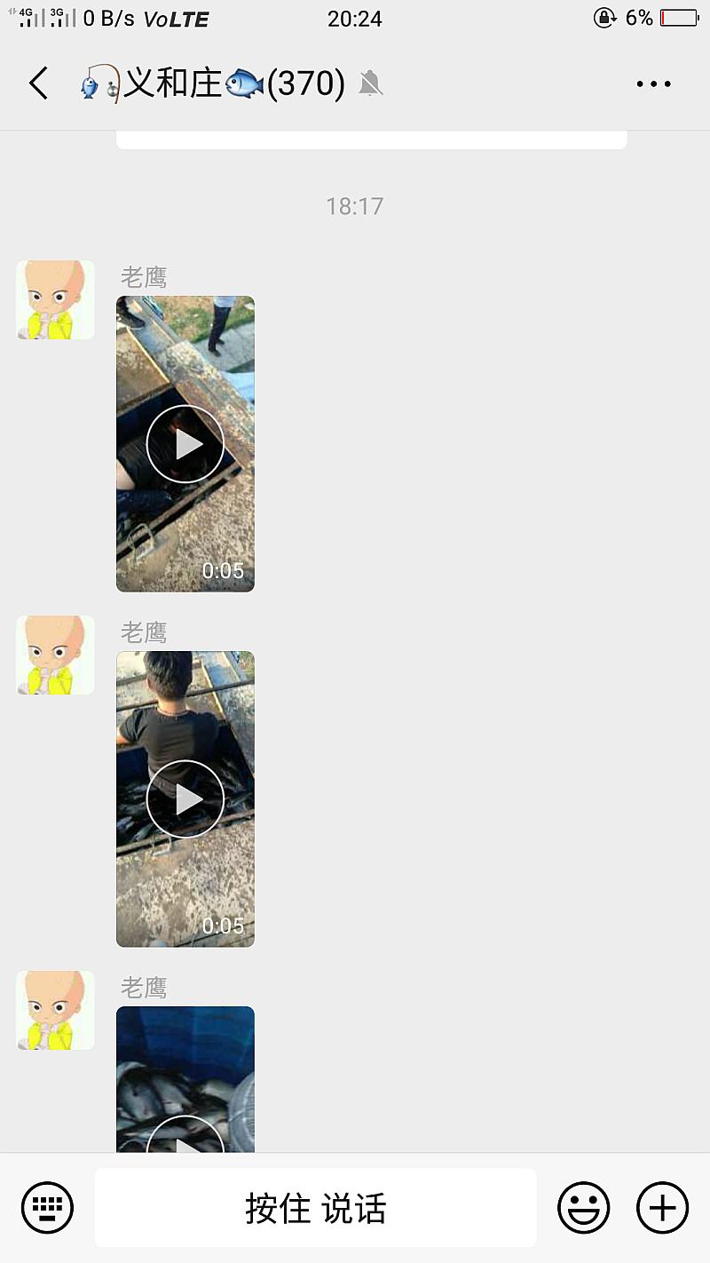 鱼情介绍图片