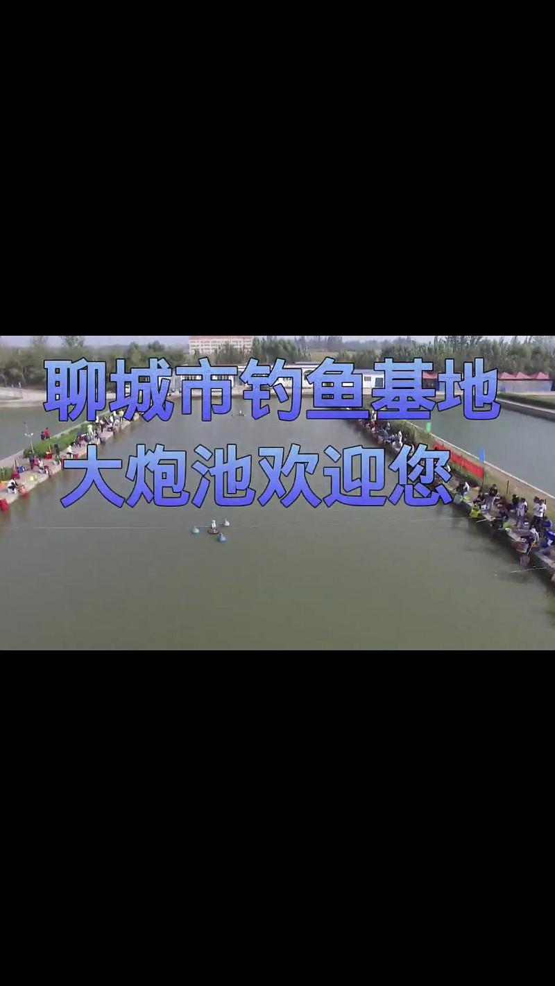鱼情介绍图片