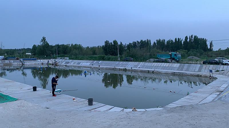 鱼情介绍图片